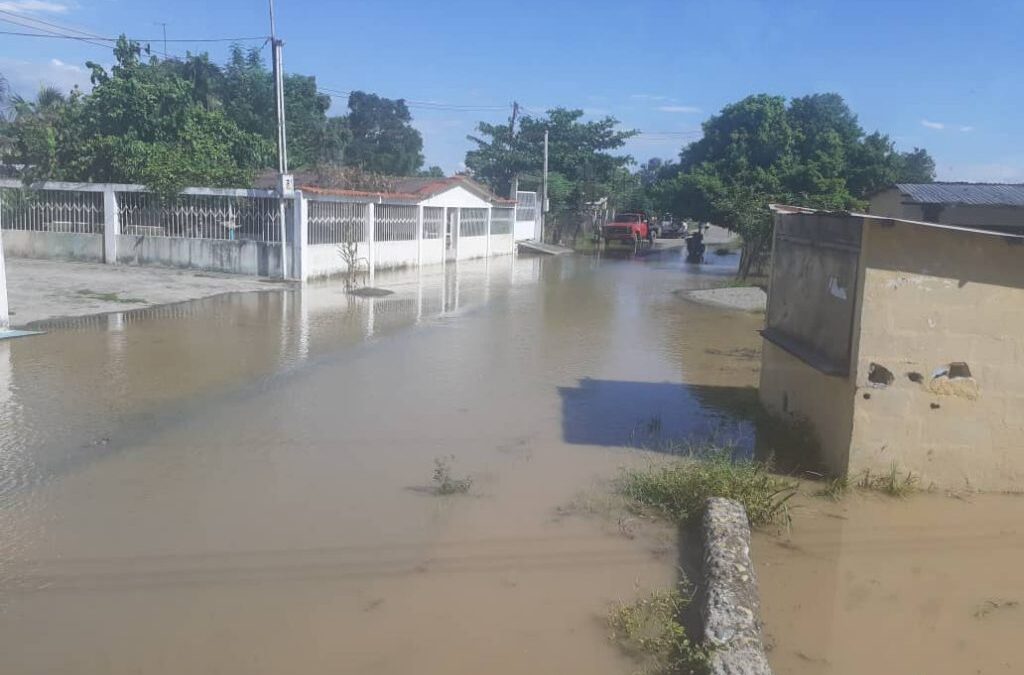 Se pierden 5 mil hectáreas de plátanos por inundaciones en el Sur del Lago