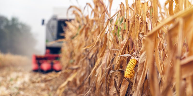 Fedeagro advierte que el sector solo produce el 20% de su capacidad