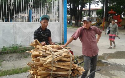 En Guárico jóvenes venden leña para mantener a sus familias