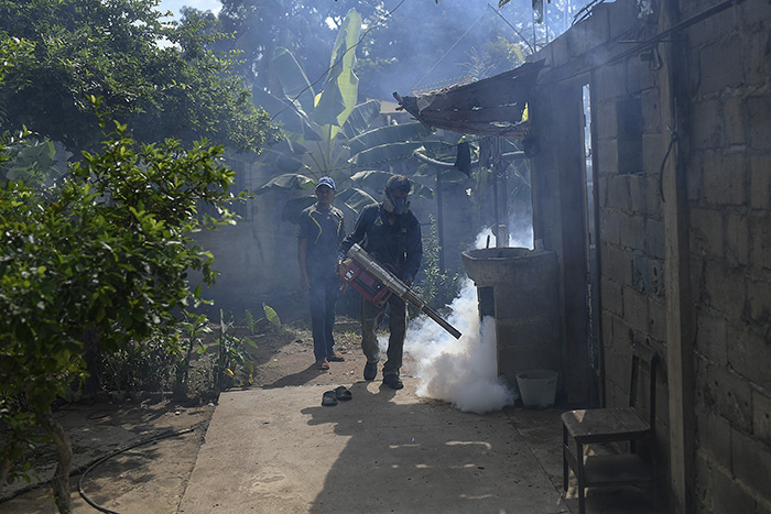 Venezuela tiene 35% de casos de malaria en América y hace muy poco al respecto