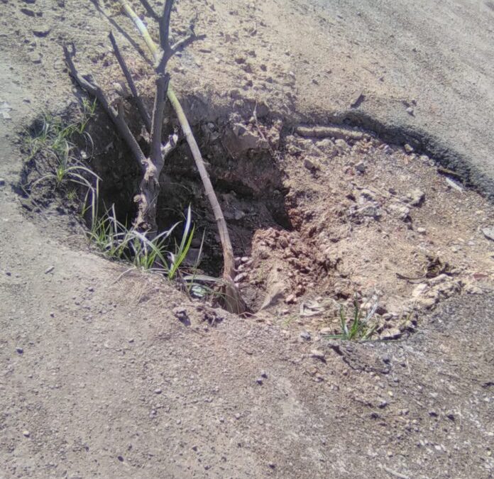 Las principales avenidas de Maturín están llenas de huecos